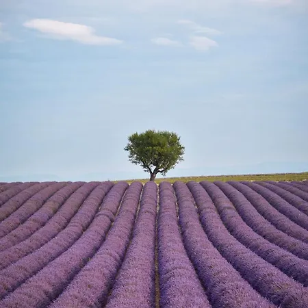 Maison Coeur Valensole